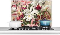 KitchenYeah Spatscherm keuken 80x55 cm - Kookplaat achterwand Bloemen - Ernst Haeckel - Vintage - Orchidee - Muurbeschermer - Spatwand fornuis - Hoogwaardig aluminium