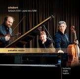 Music&Words Paladino Medien Schubert: Fantasie D 934 - Piano Trio D 898 - Impr (CD)