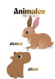 Libro para Colorear de Animales