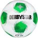 Derbystar Trainingsvoetbal Apus TT V26 Weiss/Grün