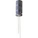 Jianghai ECR1JQG3R3MFF150407 Condensateur électrolytique radial à fil 1,5 mm 3,3 µF 63 V 20 % (Ø x h) 4 mm x 7 mm 1 pièce