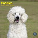 Baker & Bray Poedel Kalender 2027 Wandkalender Dieren NL