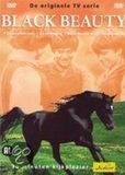 Merkloos Black Beauty 3