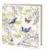 Bekking & Blitz Publishers Bekking&Blitz Vogels en Vlinders van Janneke Brinkman vierkante museumkaartjes