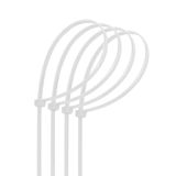 Kabelbinders van nylon, 4,8 x 250 mm, wit, 30 stuks