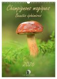 Champignons Calvendo Champignons magiques - Beautés éphémères (Calendrier mural 2027 DIN A3 horizontal)