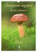 Champignons Calvendo Champignons magiques - Beautés éphémères (Calendrier mural 2027 DIN A3 horizontal)