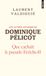 Les Dominique Pélicot: Les autres affaires de Dominique Pélicot: Que cachait le pseudo Fetiche45
