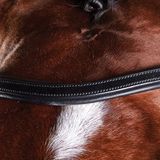 Weatherbeeta Collegiate Comfitec Hoofdstellen voor paardentraining - Zwart, Leer, Full
