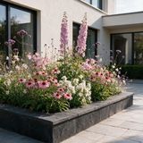Green boutiQ Borderpakket - Bijen en vlinderlokkend - Diversen - 12 Planten - Pot 11cm