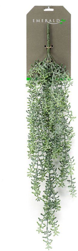 Emerald - Kunst Hangplant Rhipsalis 72cm - Groen