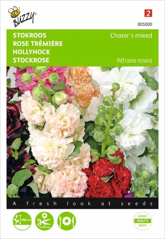 Buzzy Tuinplus B.V. Alcea rosea Chaters mix