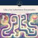 Lila y los Laberintos Encantados: Libro de laberintos fáciles para niños de 3 a 5 años