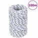 vidaXL - Bateau - corde - 2 mm - 100 m - polypropylène - blanc