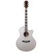 Godin Connaisseur Satina RW guitare acoustique-électrique western avec étui