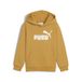 PUMA Ess No. 1 Logo Hoodie FL PS