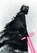 Komar Star Wars Muurschildering | Kylo Vader Shadow | 50 x 70 cm