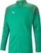 Puma Team Cup Trainingsvest Heren - Groen | Maat: L