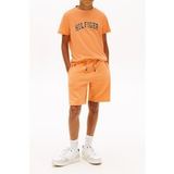 Tommy Hilfiger T-shirt pour garçon Faded Sun Kiss Taille : 10