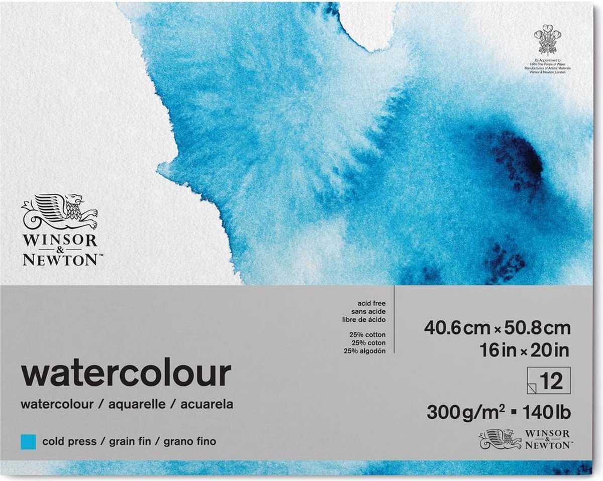 Winsor & Newton Classic Aquarelpapier Grain fin Blok 1-zijdig gelijmd 300gr 12 vel 25,4x35,6cm