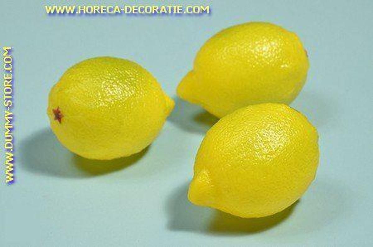 Horeca-decoratie.com Citroen 3 stuks - 60x80 mm - Fruitdummy