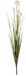 b-home-interieur.be Decoratieve tak Rietgras - Decoratieve Tak Riet - Ivoor - hoogte 91 cm
