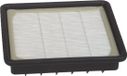 Hoover Hepa Premotor Filter Te
