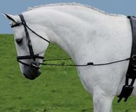 Waldhausen Side Reins Elastic Zwart Gel