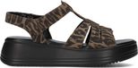 Gabor 742 Sandalen - Dames - Bruin - Maat 38