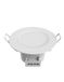 Zenitech - Ovale buitenwandlamp 5W IP44 met LED-lamp - Wit