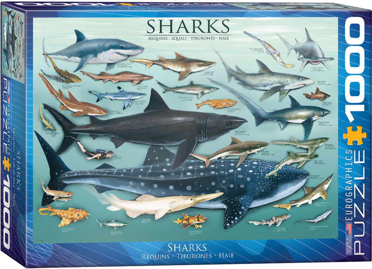 Eurographics Sharks 1000pcs