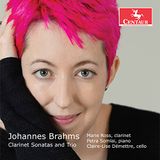 Sonic Rendezvous Clarinet Sonatas And Trio