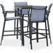 vidaXL Ensemble de Bar de Jardin 5 pcs Table et Chaises de Patio Salon de Jardin Mobilier de Terrasse Ensemble de Meubles d'Extérieur Noir et Gris