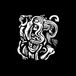 Truth Sugar Horse - Truth Or Consequences, New Mexico (CD)