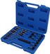 BRILLIANT TOOLS HSS Schroefuitdraaier set 25-delig - BT541900