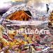 The Heligoats - The End of All-purpose (CD)