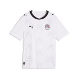 PUMA Egypte 2026 uitshirt, Grijs/Wit, Maat 7-8Y