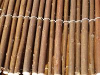 STREND PRO Wilgenschutting Willow, in zak, 1500 mm, L-5 m