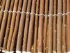 STREND PRO Wilgenschutting Willow, in zak, 1500 mm, L-5 m
