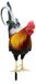 Oiseau et poulet en métal – Décoration extérieure pour jardin, terrasse et cuisine (type A)