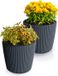 Prosperplast Plantenpot/bloempot Buckingham - 2x - buiten/binnen - antraciet - D14 x H13 cm