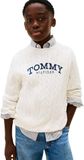 Tommy Hilfiger Boys Graphic Cable Sweater Ivory Silk Taille: 12