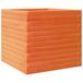 VidaXL Plantenbak 50x50x45,5 cm Massief Grenenhout Bruin
