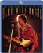 Jimi Hendrix - Blue Wild Angel
