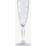 RCR Laurus Champagne Flute 16 Cl - 6 Stuks