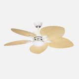 ABRILA Ventilador Dc Torcal 24w Blanco/haya 5aspas 6vel