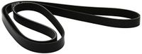 DAYCO 6PK1873 V-riem
