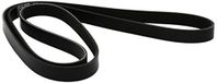 DAYCO 6PK1873 V-riem