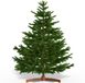 Casaria Kunstkerstboom XL - 180x110cm Houten Staander – Groen