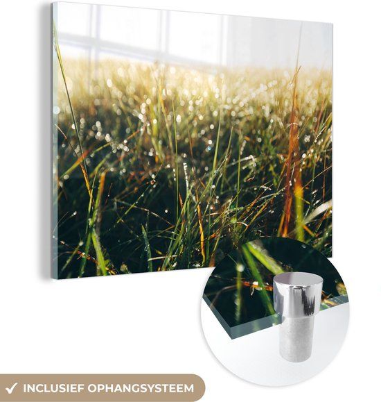MuchoWow® Glass Painting 80x60 cm - Acrylic Glass Painting - Grass Field - Pampas Grass - Grass - Photo on Glass - Paintings